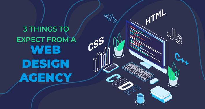 3 Things to Expect from a Web Design Agency
