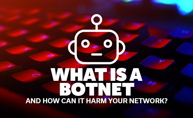 What is a botnet and how can it harm your network?