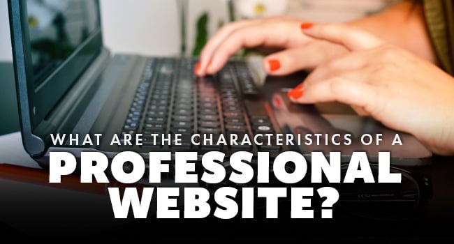professional-website